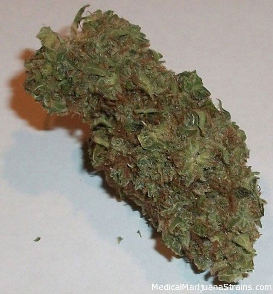 Medical Grade Weed